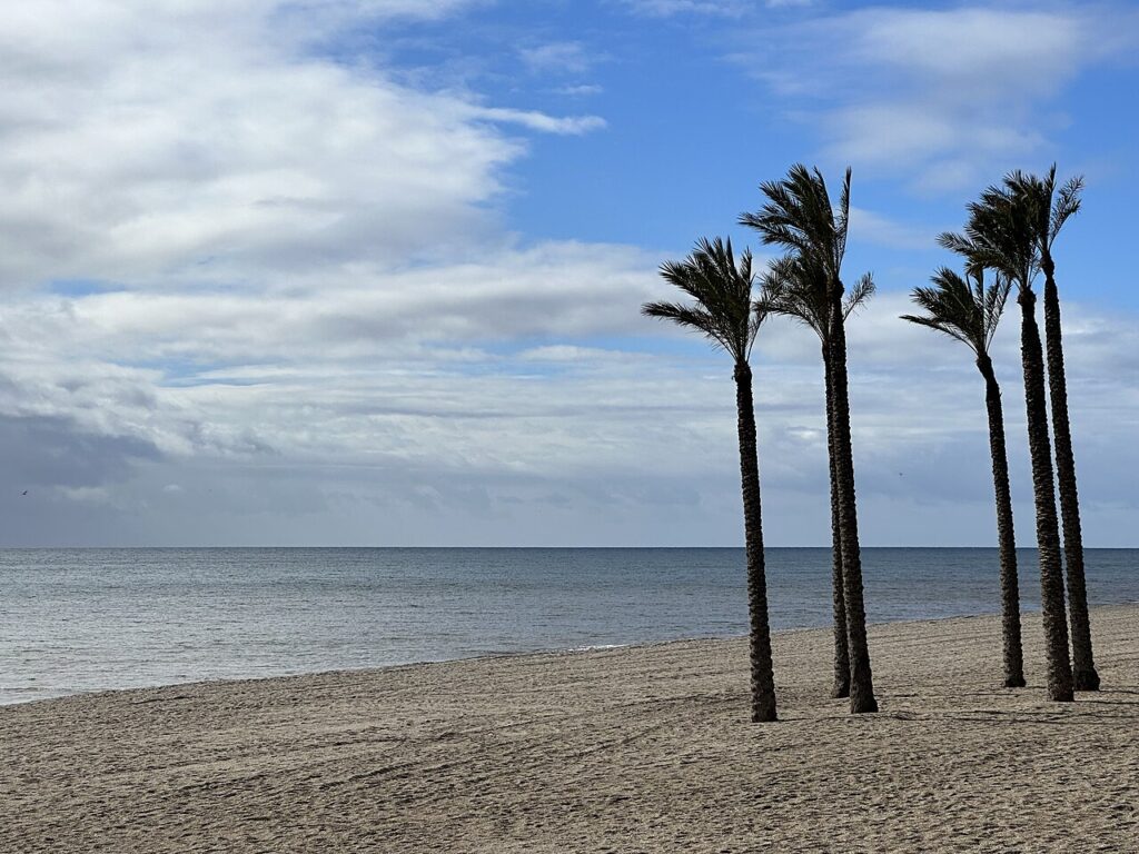 Palmeras_y_playa,_Roquetas_de_Mar